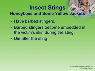 Insect Stings
Honeybees and Some Yellow Jackets
• Have barbed stingers.
• Barbed stingers become embedded in
the victim’s skin during the sting.
• Die after the sting
 