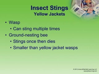 Insect Stings
Yellow Jackets
• Wasp
• Can sting multiple times
• Ground-nesting bee
• Stings once then dies
• Smaller than yellow jacket wasps
 