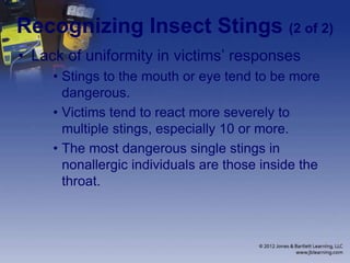 Recognizing Insect Stings (2 of 2)
• Lack of uniformity in victims’ responses
• Stings to the mouth or eye tend to be more
dangerous.
• Victims tend to react more severely to
multiple stings, especially 10 or more.
• The most dangerous single stings in
nonallergic individuals are those inside the
throat.
 