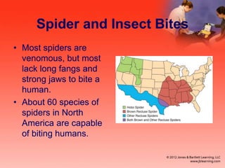 Spider and Insect Bites
• Most spiders are
venomous, but most
lack long fangs and
strong jaws to bite a
human.
• About 60 species of
spiders in North
America are capable
of biting humans.
 