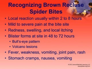 Recognizing Brown Recluse
Spider Bites
• Local reaction usually within 2 to 8 hours
• Mild to severe pain at the bite site
• Redness, swelling, and local itching
• Blister forms at site in 48 to 72 hours
• Bull’s-eye pattern
• Volcano lesions
• Fever, weakness, vomiting, joint pain, rash
• Stomach cramps, nausea, vomiting
 