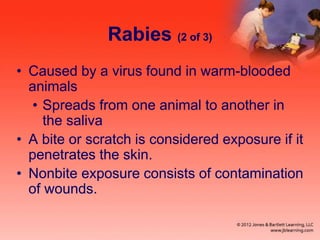 Rabies (2 of 3)
• Caused by a virus found in warm-blooded
animals
• Spreads from one animal to another in
the saliva
• A bite or scratch is considered exposure if it
penetrates the skin.
• Nonbite exposure consists of contamination
of wounds.
 