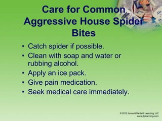 Care for Common
Aggressive House Spider
Bites
• Catch spider if possible.
• Clean with soap and water or
rubbing alcohol.
• Apply an ice pack.
• Give pain medication.
• Seek medical care immediately.
 