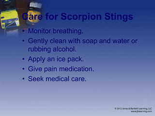 Care for Scorpion Stings
• Monitor breathing.
• Gently clean with soap and water or
rubbing alcohol.
• Apply an ice pack.
• Give pain medication.
• Seek medical care.
 