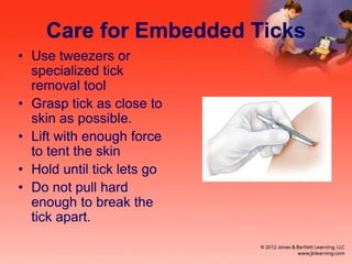 Care for Embedded Ticks
• Use tweezers or
specialized tick
removal tool
• Grasp tick as close to
skin as possible.
• Lift with enough force
to tent the skin
• Hold until tick lets go
• Do not pull hard
enough to break the
tick apart.
 
