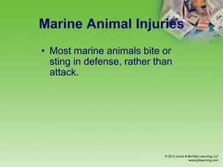 Marine Animal Injuries
• Most marine animals bite or
sting in defense, rather than
attack.
 