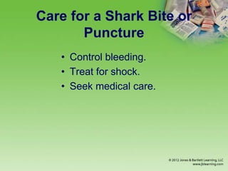 Care for a Shark Bite or
Puncture
• Control bleeding.
• Treat for shock.
• Seek medical care.
 