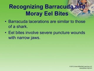 Recognizing Barracuda and
Moray Eel Bites
• Barracuda lacerations are similar to those
of a shark.
• Eel bites involve severe puncture wounds
with narrow jaws.
 