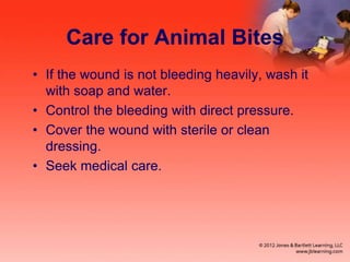 Care for Animal Bites
• If the wound is not bleeding heavily, wash it
with soap and water.
• Control the bleeding with direct pressure.
• Cover the wound with sterile or clean
dressing.
• Seek medical care.
 
