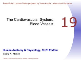 PowerPoint® Lecture Slides prepared by Vince Austin, University of Kentucky 
The Cardiovascular System: Blood Vessels 
19 
Human Anatomy & Physiology, Sixth Edition 
Elaine N. Marieb 
Copyright © 2004 Pearson Education, Inc., publishing as Benjamin Cummings 
 