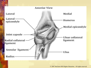© 2007 McGraw-Hill Higher Education. All rights reserved.
 