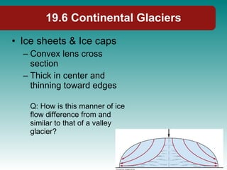 19.6 Continental Glaciers Ice sheets & Ice caps Convex lens cross section Thick in center and thinning toward edges Q: How is this manner of ice flow difference from and similar to that of a valley glacier? 