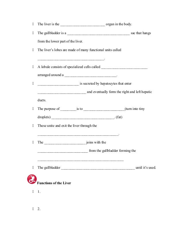 Chapter 19 Note Taking Guide Chapter 19 Note Taking Guide