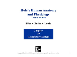 Hole’s Human Anatomy
and Physiology
Twelfth Edition

Shier  Butler  Lewis
Chapter
19
Respiratory System

Copyright © The McGraw-Hill Companies, Inc. Permission required for reproduction or display.

1

 