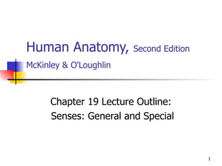 Human Anatomy,  Second Edition McKinley & O'Loughlin   Chapter 19 Lecture Outline: Senses: General and Special 