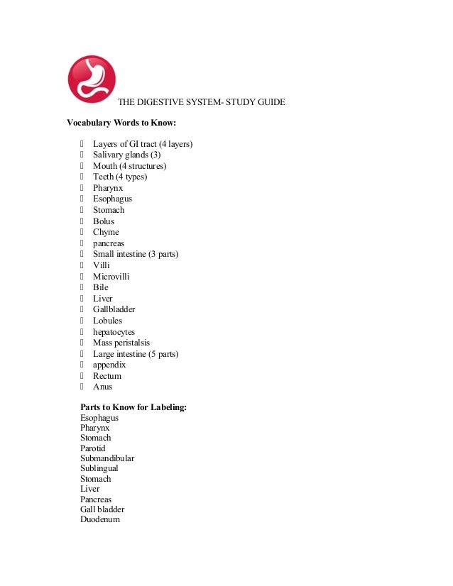 Chapter 19 Study Guide Chapter 19 Study Guide
