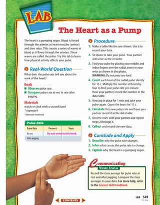 The heart is a pumping organ. Blood is forced
through the arteries as heart muscles contract
and then relax. This creates a series of waves in
blood as it flows through the arteries. These
waves are called the pulse. Try this lab to learn
how physical activity affects your pulse.
Real-World Question
What does the pulse rate tell you about the
work of the heart?
Goals
■ Observe pulse rate.
■ Compare pulse rate at rest to rate after
jogging.
Materials
watch or clock with a second hand
*stopwatch
*Alternate materials
Procedure
1. Make a table like the one shown. Use it to
record your data.
2. Sit down to take your pulse. Your partner
will serve as the recorder.
3. Find your pulse by placing your middle and
index fingers over the radial artery in your
wrist as shown in the photo.
WARNING: Do not press too hard.
4. Count each beat of the radial pulse silently
for 15 s. Multiply the number of beats by
four to find your pulse rate per minute.
Have your partner record the number in the
data table.
5. Now jog in place for 1 min and take your
pulse again. Count the beats for 15 s.
6. Calculate this new pulse rate and have your
partner record it in the data table.
7. Reverse roles with your partner and repeat
steps 2 through 6.
8. Collect and record the new data.
Conclude and Apply
1. Describe why the pulse rate changes.
2. Infer what causes the pulse rate to change.
3. Explain why the heart is a pumping organ.
The Heart as a Pump
Record the class average for pulse rate at
rest and after jogging. Compare the class
averages to your data. For more help, refer
to the Science Skill Handbook.
LAB 549
Pulse Rate
Pulse Rate Partner’s Yours
At rest
After jogging
First Image
Do not write in this book.
423-S1-MSS05_GLS 8/16/04 10:04 AM Page 549
 
