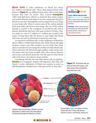 SECTION 2 Blood 551
Blood Cells A cubic millimeter of blood has about
five million red blood cells. These disk-shaped blood cells,
shown in Figure 11, are different from other cells in your body
because they have no nuclei. They contain hemoglobin
(HEE muh gloh bun), which is a molecule that carries oxygen
and carbon dioxide, and made of an iron compound that gives
blood its red color. Hemoglobin carries oxygen from your lungs
to your body cells. Then it carries some of the carbon dioxide
from your body cells back to your lungs. The rest of the carbon
dioxide is carried in the cytoplasm of red blood cells and in
plasma. Red blood cells have a life span of about 120 days. They
are made at a rate of 2 million to 3 million per second in the
center of long bones like the femur in your thigh. Red blood
cells wear out and are destroyed at about the same rate.
In contrast to red blood cells, a cubic millimeter of blood has
about 5,000 to 10,000 white blood cells. White blood cells fight
bacteria, viruses, and other invaders of your body. Your body
reacts to invaders by increasing the number of white blood cells.
These cells leave the blood through capillary walls and go into
the tissues that have been invaded. Here, they destroy bacteria
and viruses and absorb dead cells. The life span of white blood
cells varies from a few days to many months.
Circulating with the red and white blood cells are platelets.
Platelets are irregularly shaped cell fragments that help clot
blood. A cubic millimeter of blood can contain as many as
400,000 platelets. Platelets have a life span of five to nine days.
Color-enhanced SEM
Magnification:1000ϫ
Figure 11 Red blood cells sup-
ply your body with oxygen, and
white blood cells and platelets
have protective roles.
Platelets
Red blood cells
White blood cells
Nuclei
Several types, sizes, and shapes of white
blood cells exist. These cells destroy
bacteria, viruses, and foreign substances.
Platelets help stop bleeding. Platelets not only
plug holes in small vessels, they also release
chemicals that help form filaments of fibrin.
Topic: White Blood Cells
Visit for Web
links to information about types of
human white blood cells and their
functions.
Activity Write a brief summary
describing how white blood cells
destroy bacteria and viruses in
your Science Journal.
life.msscience.com
National Cancer Institute/Science Photo Library/Photo Researchers
423-S2-MSS05_GLS 8/16/04 10:05 AM Page 551
 