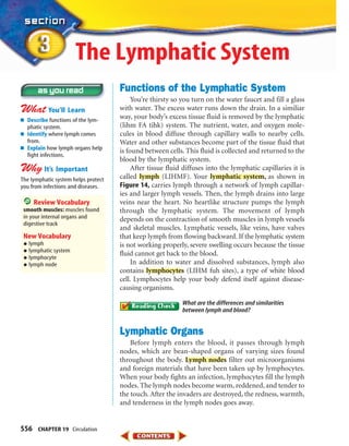 556 CHAPTER 19 Circulation
Functions of the Lymphatic System
You’re thirsty so you turn on the water faucet and fill a glass
with water. The excess water runs down the drain. In a similiar
way, your body’s excess tissue fluid is removed by the lymphatic
(lihm FA tihk) system. The nutrient, water, and oxygen mole-
cules in blood diffuse through capillary walls to nearby cells.
Water and other substances become part of the tissue fluid that
is found between cells. This fluid is collected and returned to the
blood by the lymphatic system.
After tissue fluid diffuses into the lymphatic capillaries it is
called lymph (LIHMF). Your lymphatic system, as shown in
Figure 14, carries lymph through a network of lymph capillar-
ies and larger lymph vessels. Then, the lymph drains into large
veins near the heart. No heartlike structure pumps the lymph
through the lymphatic system. The movement of lymph
depends on the contraction of smooth muscles in lymph vessels
and skeletal muscles. Lymphatic vessels, like veins, have valves
that keep lymph from flowing backward. If the lymphatic system
is not working properly, severe swelling occurs because the tissue
fluid cannot get back to the blood.
In addition to water and dissolved substances, lymph also
contains lymphocytes (LIHM fuh sites), a type of white blood
cell. Lymphocytes help your body defend itself against disease-
causing organisms.
What are the differences and similarities
between lymph and blood?
Lymphatic Organs
Before lymph enters the blood, it passes through lymph
nodes, which are bean-shaped organs of varying sizes found
throughout the body. Lymph nodes filter out microorganisms
and foreign materials that have been taken up by lymphocytes.
When your body fights an infection, lymphocytes fill the lymph
nodes. The lymph nodes become warm, reddened, and tender to
the touch. After the invaders are destroyed, the redness, warmth,
and tenderness in the lymph nodes goes away.
■ Describe functions of the lym-
phatic system.
■ Identify where lymph comes
from.
■ Explain how lymph organs help
fight infections.
The lymphatic system helps protect
you from infections and diseases.
Review Vocabulary
smooth muscles: muscles found
in your internal organs and
digestive track
New Vocabulary
•lymph
•lymphatic system
•lymphocyte
•lymph node
The Lymphatic System
423-S3-MSS05_GLS 8/16/04 10:05 AM Page 556
 