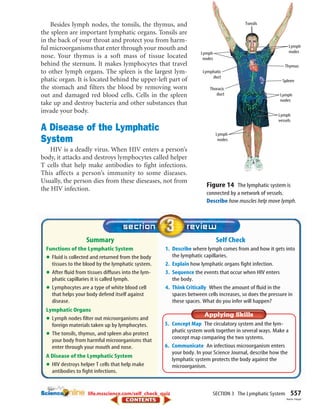 SECTION 3 The Lymphatic System 557
Self Check
1. Describe where lymph comes from and how it gets into
the lymphatic capillaries.
2. Explain how lymphatic organs fight infection.
3. Sequence the events that occur when HIV enters
the body.
4. Think Critically When the amount of fluid in the
spaces between cells increases, so does the pressure in
these spaces. What do you infer will happen?
Summary
Functions of the Lymphatic System
•Fluid is collected and returned from the body
tissues to the blood by the lymphatic system.
•After fluid from tissues diffuses into the lym-
phatic capillaries it is called lymph.
•Lymphocytes are a type of white blood cell
that helps your body defend itself against
disease.
Lymphatic Organs
•Lymph nodes filter out microorganisms and
foreign materials taken up by lymphocytes.
•The tonsils, thymus, and spleen also protect
your body from harmful microorganisms that
enter through your mouth and nose.
A Disease of the Lymphatic System
•HIV destroys helper T cells that help make
antibodies to fight infections.
Besides lymph nodes, the tonsils, the thymus, and
the spleen are important lymphatic organs. Tonsils are
in the back of your throat and protect you from harm-
ful microorganisms that enter through your mouth and
nose. Your thymus is a soft mass of tissue located
behind the sternum. It makes lymphocytes that travel
to other lymph organs. The spleen is the largest lym-
phatic organ. It is located behind the upper-left part of
the stomach and filters the blood by removing worn
out and damaged red blood cells. Cells in the spleen
take up and destroy bacteria and other substances that
invade your body.
A Disease of the Lymphatic
System
HIV is a deadly virus. When HIV enters a person’s
body, it attacks and destroys lymphocytes called helper
T cells that help make antibodies to fight infections.
This affects a person’s immunity to some diseases.
Usually, the person dies from these dieseases, not from
the HIV infection.
Lymphatic
duct
Thoracic
duct
Lymph
nodes
Thymus
Spleen
Lymph
nodes
Tonsils
Lymph
nodes
Lymph
nodes
Lymph
vessels
Figure 14 The lymphatic system is
connected by a network of vessels.
Describe how muscles help move lymph.
5. Concept Map The circulatory system and the lym-
phatic system work together in several ways. Make a
concept map comparing the two systems.
6. Communicate An infectious microorganism enters
your body. In your Science Journal, describe how the
lymphatic system protects the body against the
microorganism.
life.msscience.com/self_check_quiz
Aaron Haupt
423-S3-MSS05_GLS 8/16/04 10:05 AM Page 557
 