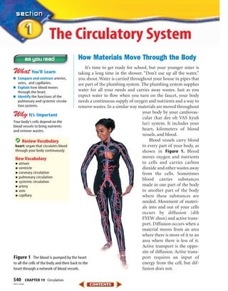 540 CHAPTER 19 Circulation
How Materials Move Through the Body
It’s time to get ready for school, but your younger sister is
taking a long time in the shower. “Don’t use up all the water,”
you shout. Water is carried throughout your house in pipes that
are part of the plumbing system. The plumbing system supplies
water for all your needs and carries away wastes. Just as you
expect water to flow when you turn on the faucet, your body
needs a continuous supply of oxygen and nutrients and a way to
remove wastes. In a similar way materials are moved throughout
your body by your cardiovas-
cular (kar dee oh VAS kyuh
lur) system. It includes your
heart, kilometers of blood
vessels, and blood.
Blood vessels carry blood
to every part of your body, as
shown in Figure 1. Blood
moves oxygen and nutrients
to cells and carries carbon
dioxide and other wastes away
from the cells. Sometimes
blood carries substances
made in one part of the body
to another part of the body
where these substances are
needed. Movement of materi-
als into and out of your cells
occurs by diffusion (dih
FYEW zhun) and active trans-
port. Diffusion occurs when a
material moves from an area
where there is more of it to an
area where there is less of it.
Active transport is the oppo-
site of diffusion. Active trans-
port requires an input of
energy from the cell, but dif-
fusion does not.
■ Compare and contrast arteries,
veins, and capillaries.
■ Explain how blood moves
through the heart.
■ Identify the functions of the
pulmonary and systemic circula-
tion systems.
Your body’s cells depend on the
blood vessels to bring nutrients
and remove wastes.
Review Vocabulary
heart: organ that circulates blood
through your body continuously
New Vocabulary
•atrium
•ventricle
•coronary circulation
•pulmonary circulation
•systemic circulation
•artery
•vein
•capillary
The Circulatory System
Figure 1 The blood is pumped by the heart
to all the cells of the body and then back to the
heart through a network of blood vessels.
Aaron Haupt
423-S1-MSS05_GLS 8/16/04 10:04 AM Page 540
 