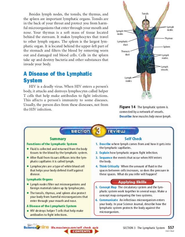 Chapter 19 Textbook
