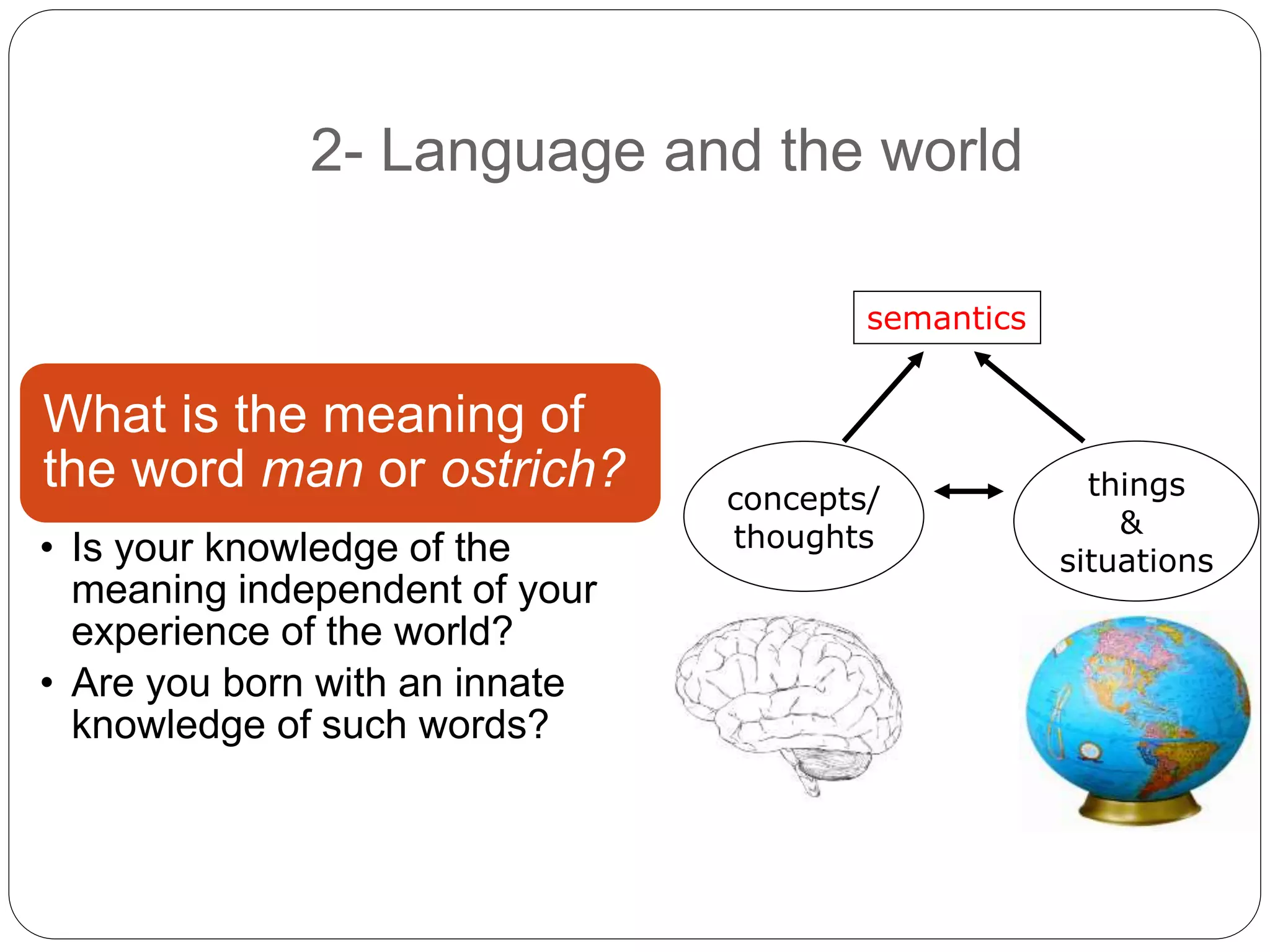 2- Language and the world
semantics
concepts/
thoughts
things
&
situations
What is the meaning of
the word man or ostrich?
• Is your knowledge of the
meaning independent of your
experience of the world?
• Are you born with an innate
knowledge of such words?
 