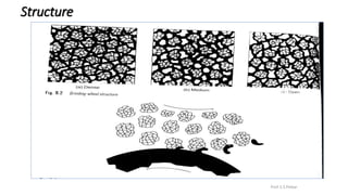 Structure
Prof. S.S.Petkar
 