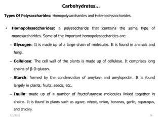 Carbohydrates…
• Homopolysaccharides: a polysaccharide that contains the same type of
monosaccharides. Some of the important homopolysaccharides are:
– Glycogen: It is made up of a large chain of molecules. It is found in animals and
fungi.
– Cellulose: The cell wall of the plants is made up of cellulose. It comprises long
chains of β-D-glucan.
– Starch: formed by the condensation of amylose and amylopectin. It is found
largely in plants, fruits, seeds, etc.
– Inulin: made up of a number of fructofuranose molecules linked together in
chains. It is found in plants such as agave, wheat, onion, bananas, garlic, asparagus,
and chicory.
7/3/2023 29
Types Of Polysaccharides: Homopolysaccharides and Heteropolysaccharides.
 