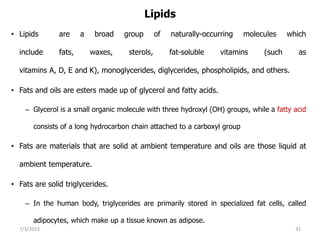 Lipids
• Lipids are a broad group of naturally-occurring molecules which
include fats, waxes, sterols, fat-soluble vitamins (such as
vitamins A, D, E and K), monoglycerides, diglycerides, phospholipids, and others.
• Fats and oils are esters made up of glycerol and fatty acids.
– Glycerol is a small organic molecule with three hydroxyl (OH) groups, while a fatty acid
consists of a long hydrocarbon chain attached to a carboxyl group
• Fats are materials that are solid at ambient temperature and oils are those liquid at
ambient temperature.
• Fats are solid triglycerides.
– In the human body, triglycerides are primarily stored in specialized fat cells, called
adipocytes, which make up a tissue known as adipose.
7/3/2023 31
 