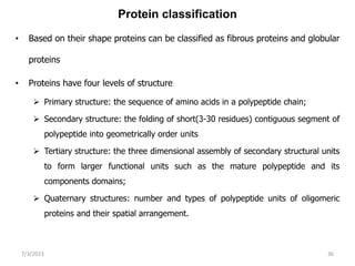 Protein classification
• Based on their shape proteins can be classified as fibrous proteins and globular
proteins
• Proteins have four levels of structure
 Primary structure: the sequence of amino acids in a polypeptide chain;
 Secondary structure: the folding of short(3-30 residues) contiguous segment of
polypeptide into geometrically order units
 Tertiary structure: the three dimensional assembly of secondary structural units
to form larger functional units such as the mature polypeptide and its
components domains;
 Quaternary structures: number and types of polypeptide units of oligomeric
proteins and their spatial arrangement.
7/3/2023 36
 
