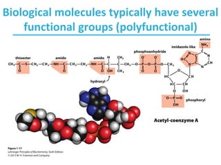 Biochemistry - Ch1 foundation of Biochem , ch2 water and aqueous ...