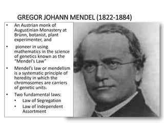 GREGOR JOHANN MENDEL (1822-1884)
• An Austrian monk of
Augustinian Monastery at
Brünn, botanist, plant
experimenter, and
• pioneer in using
mathematics in the science
of genetics known as the
“Mendel’s Law”
• Mendel’s law or mendelism
is a systematic principle of
heredity in which the
chromosomes are carriers
of genetic units.
• Two fundamental laws:
• Law of Segregation
• Law of independent
Assortment
 