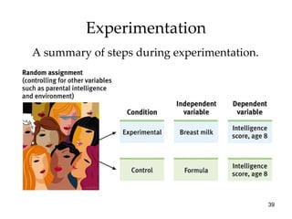 Experimentation A summary of steps during experimentation. 