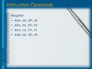 Instruction Operands

 Register
  eax, ax, ah, al
  ebx, bx, bh, bl
  ecx, cx, ch, cl
  edx, dx, dh, dl
 