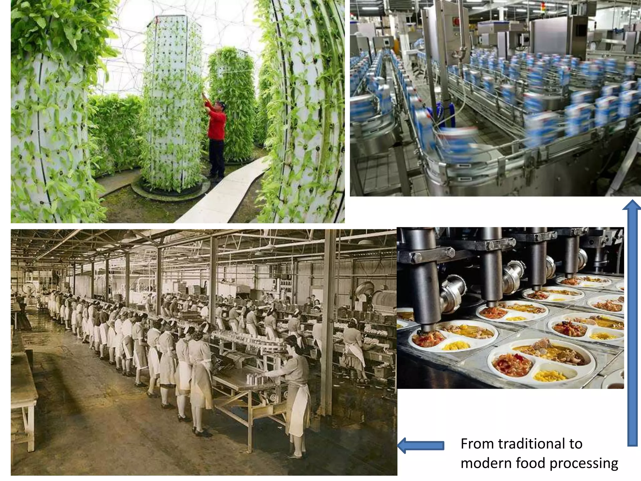 Hydroponic agriculture
From traditional to
modern food processing
 