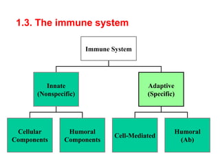 Chapter 1 Basic Immunology ppts . How immune system works | PPT