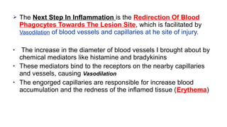 Chapter 1 The Basic Immunology | PPT