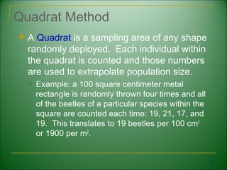 Quadrat Method
   A Quadrat is a sampling area of any shape
    randomly deployed. Each individual within
    the quadrat is counted and those numbers
    are used to extrapolate population size.
       Example: a 100 square centimeter metal
        rectangle is randomly thrown four times and all
        of the beetles of a particular species within the
        square are counted each time: 19, 21, 17, and
        19. This translates to 19 beetles per 100 cm2
        or 1900 per m2.


                                                            11
 