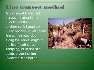 Chapter 1 bio 300 | PPT