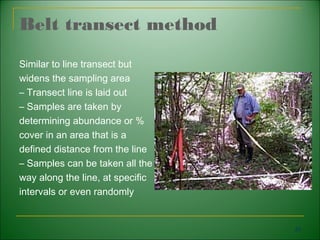 Transect Measuring Method Chapter 1 bio 300 | PPT