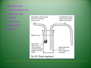 1. specimen tube
2. screwed-topped jars
3. polythene bags
4. forceps
5. paint brush
6. bulb pipette
7. pooter




                         41
 