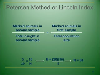 Peterson Method or Lincoln Index


  Marked animals in       Marked animals in
   second sample            first sample
                      =
   Total caught in         Total population
   second sample                 size




      5 = 16          N = (20)(16)     N = 64
      20 N                   5

                                                49
 