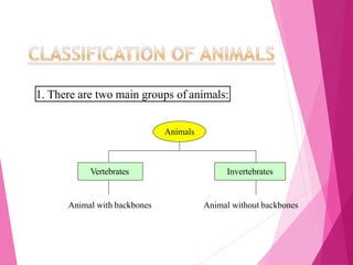 CHAPTER 1 BIODIVERSITY SCIENCE DLP FORM 2.pptx