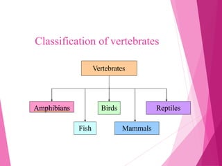 CHAPTER 1 BIODIVERSITY SCIENCE DLP FORM 2.pptx