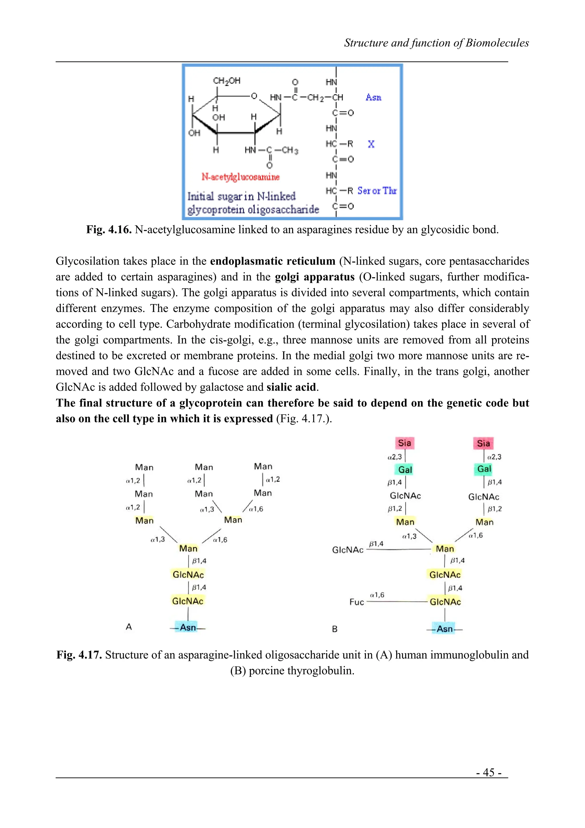Chapter 1 Biomolecules Pdf Lkoop Pdf