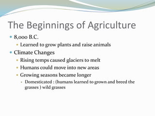 The Beginnings of Agriculture
 8,000 B.C.
    Learned to grow plants and raise animals
 Climate Changes
    Rising temps caused glaciers to melt
    Humans could move into new areas
    Growing seasons became longer
        Domesticated : (humans learned to grown and breed the
         grasses ) wild grasses
 