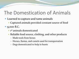 The Domestication of Animals
 Learned to capture and tame animals
    Captured animals provided constant source of food
 9,000 B.C.
    1st animals domesticated
    Reliable food source, clothing, and other products
        Made tools from bones
        Horses, llamas, and camels used for transportation
        Dogs domesticated to help in hunts
 