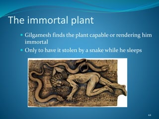 The immortal plant
 Gilgamesh finds the plant capable or rendering him
immortal
 Only to have it stolen by a snake while he sleeps
44
 