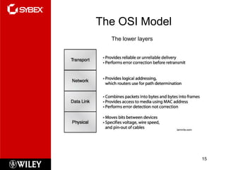 The OSI Model
  The lower layers




                     15
 